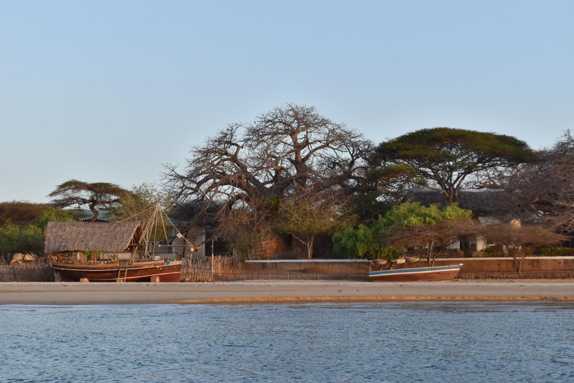 Amu House Hotel Lamu Exterior foto